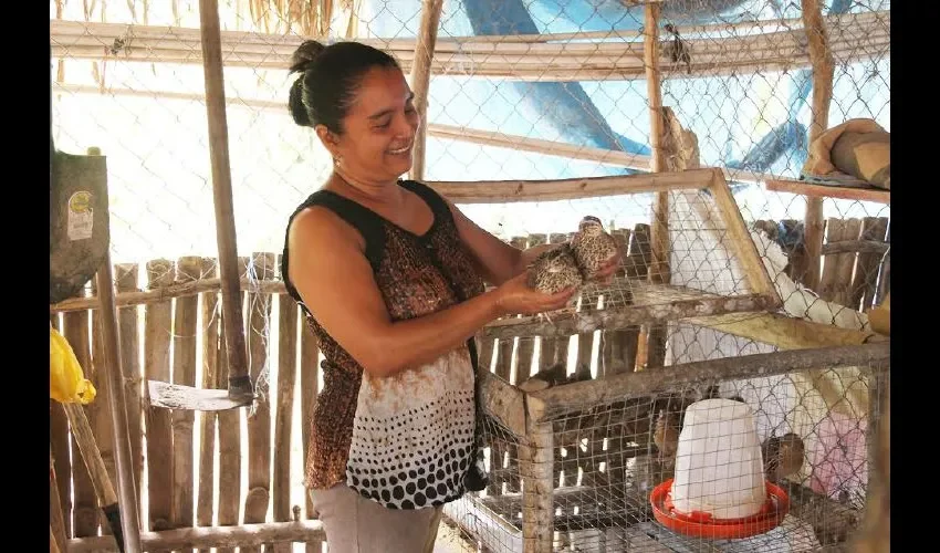   Quieren un sustento seguro para sus familias.