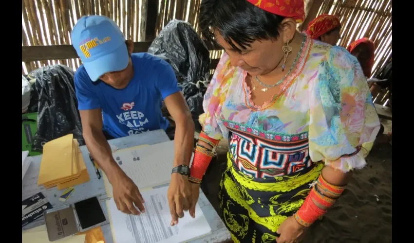 Experimentan diferentes campos.