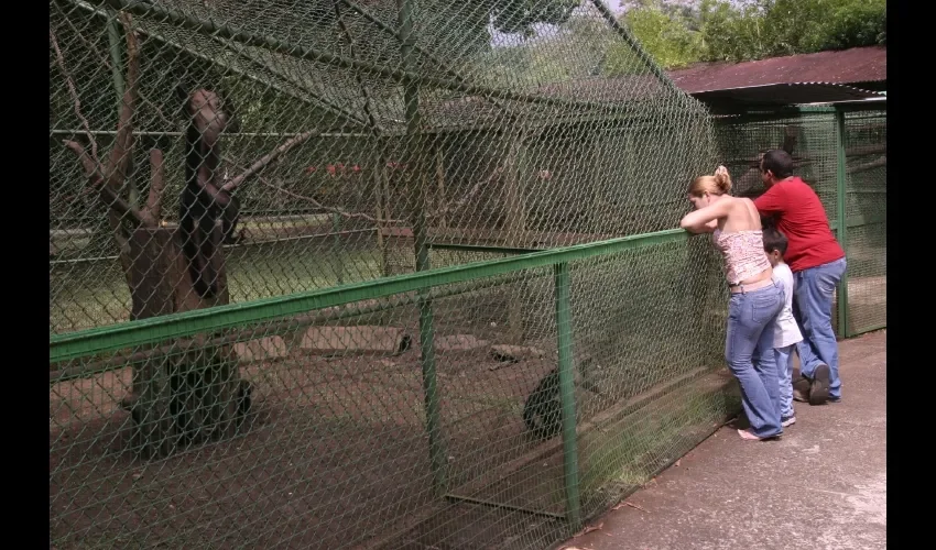  Hay un centro de información y guías.