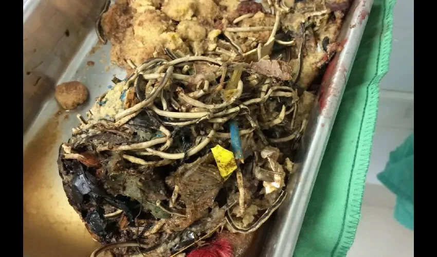 Todo esto le sacaron del estómago a Banksy.