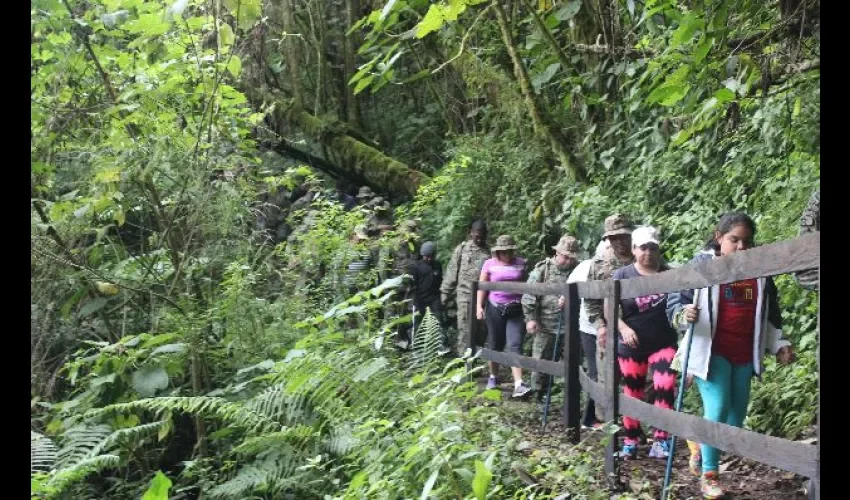 Sendero Los Quetzales, Chiriquí, Panamá