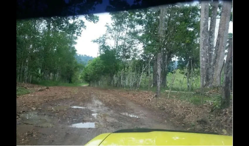 Calles y puentes en Bocas del Toro