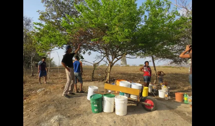 Falta de agua en  Bella Vista en Cañaveral de Penonomé
