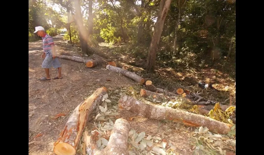 Área protegida de Cerro Hoya