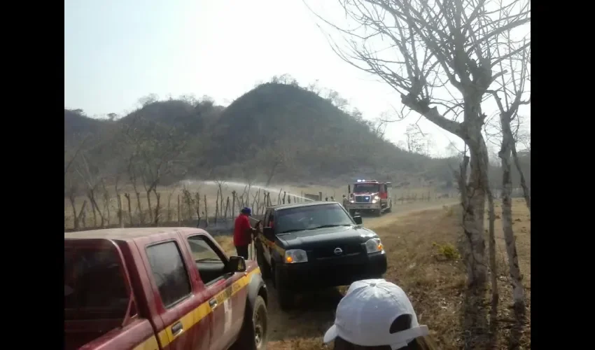 Incendio  de masa vegetal en Pesé 