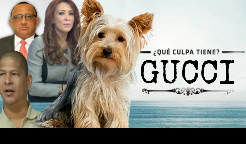 Zulema Sucre viceministra del Mides y su perro Gucci 