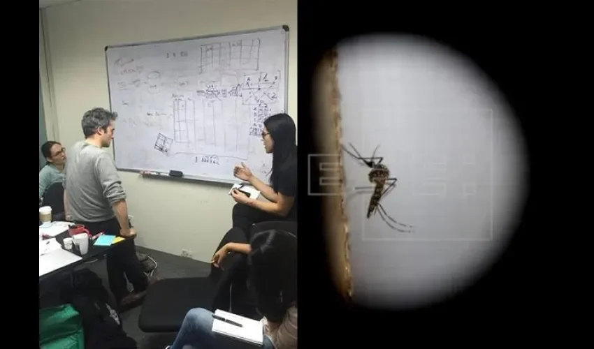 Google se une a los esfuerzos de combatir el Zika 