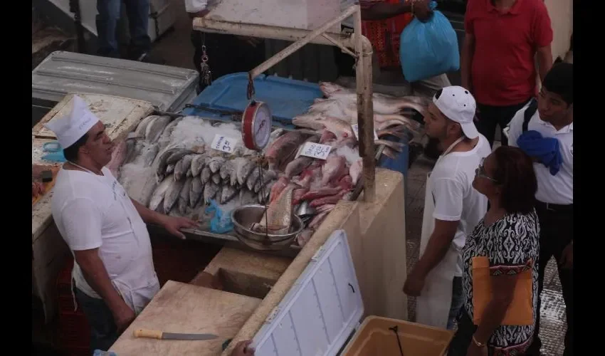 Los mariscos atraen muchas bacterias, hay que tener cuidado. ROBERTOBARRIOS