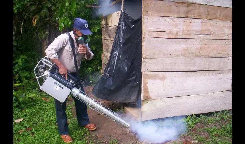 El virus puede dañar las células, según estudio de Estados Unidos.