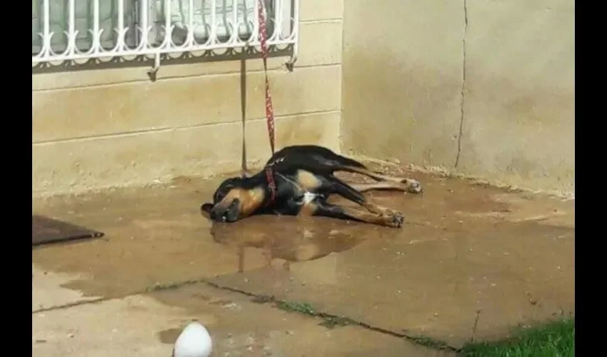 Imágenes que dicen más que mil palabras. Juzgue usted mismo. Fotos: CORTESÍA