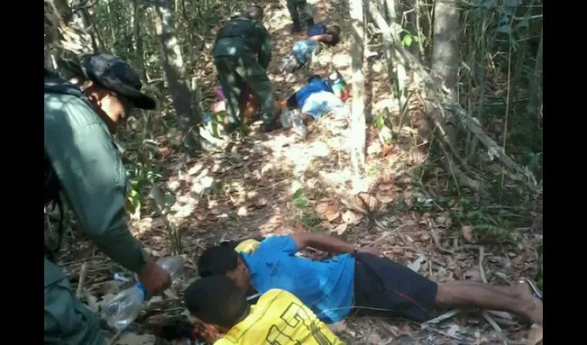 Delito ambiental en Panamá 