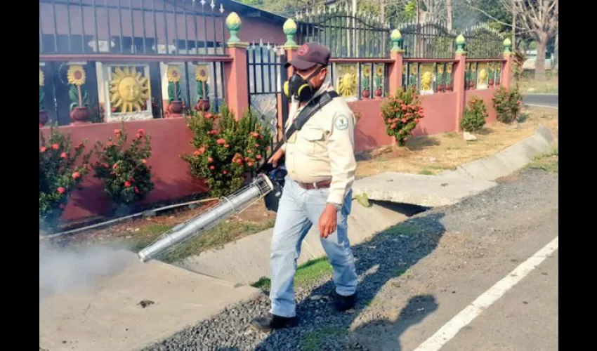 Mosquitos en Panamá 