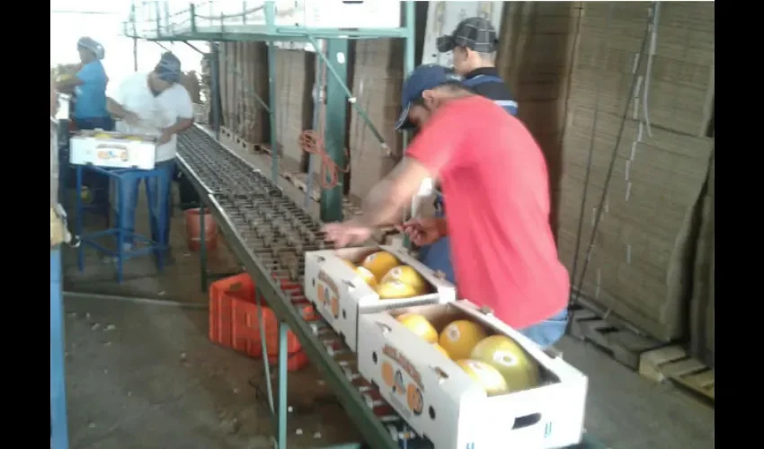 Agroexportadores de Los Santos 