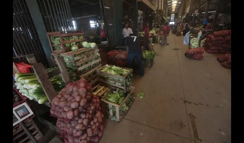  FOTO: ROBERTO BARRIOS