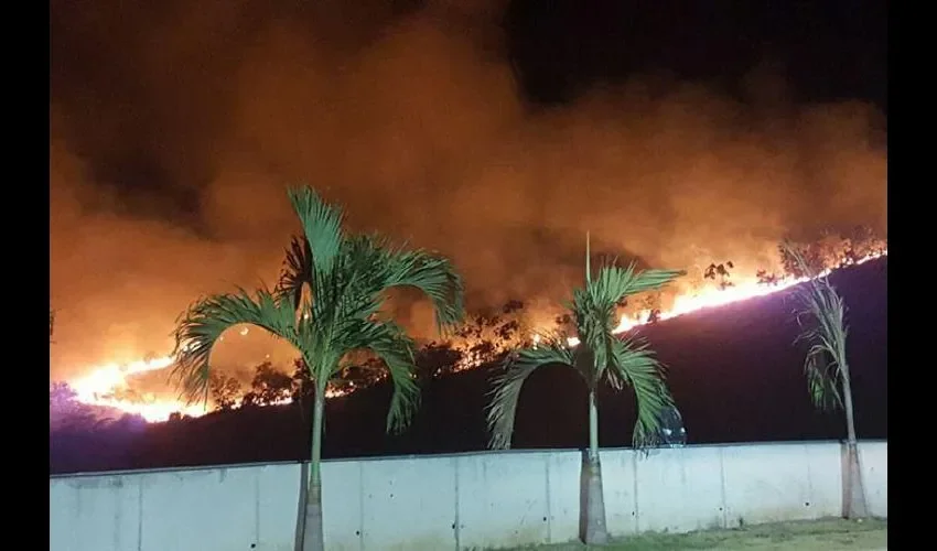 Unos 5,000 incendios de masa vegetal se han dado en lo que va del año, cerca de 50 diarios.