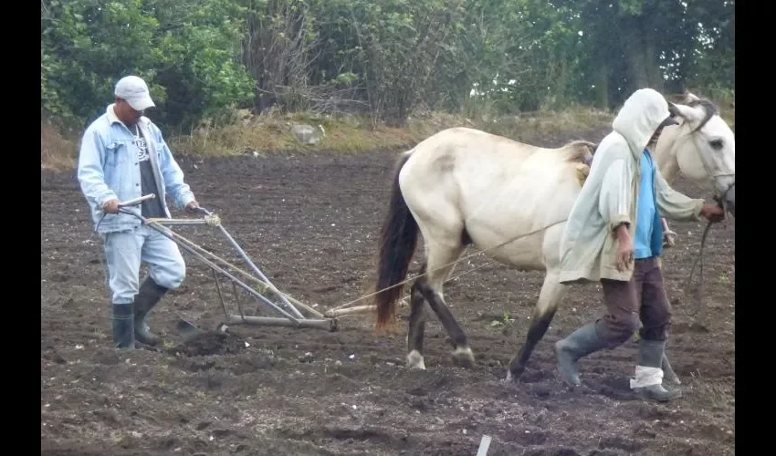 Hay problemas con los caminos de producción.