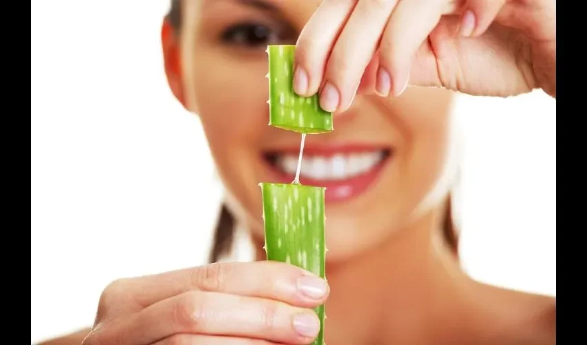 El áloe tiene una historia de uso tradicional que se remonta a tiempo de los  egipcios.