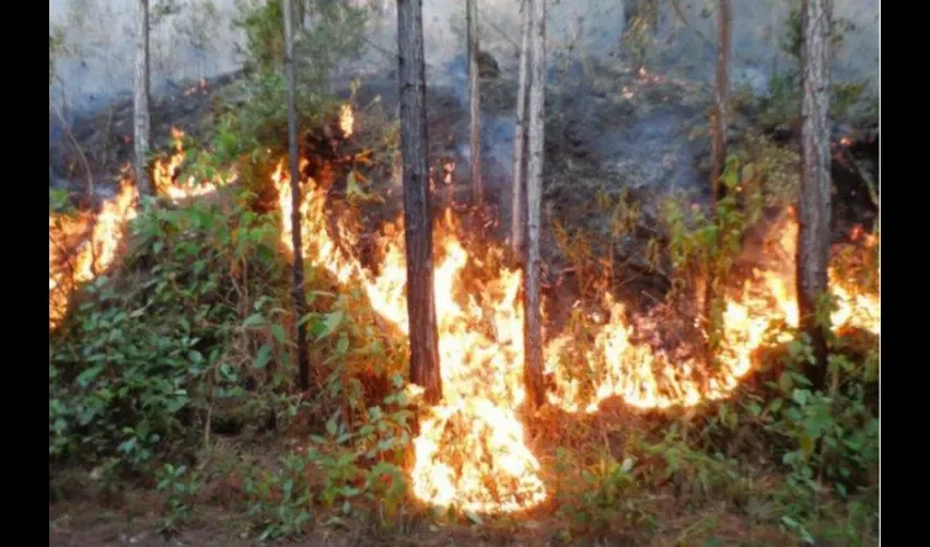 En días pasados hubo un incendio en Garachiné.