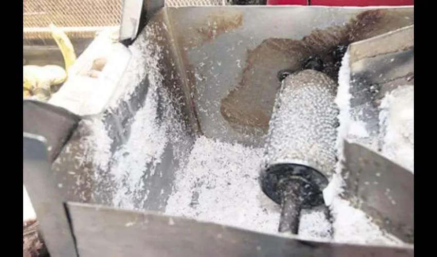 Una vez que el coco está desnudo, es decir, sin la parte que lo cubre, se usa este artefacto para rallarlo.