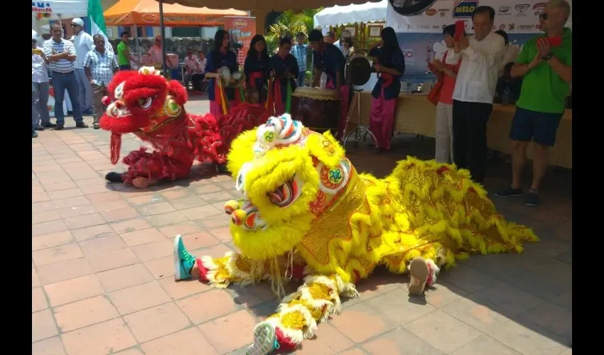 La danza de los leones chinos fue muy gustada y aplaudida por el público presente en el festival gastronómico. Los muchachos hicieron un buen espectáculo.