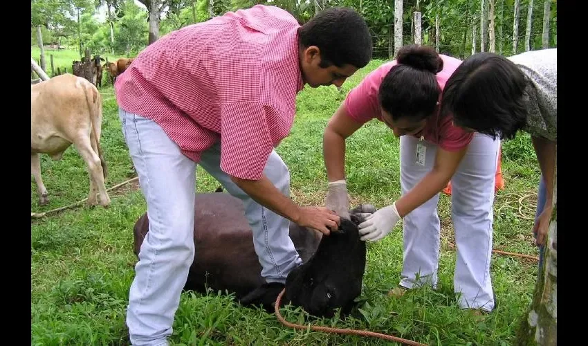 Ellos forman parte de La Comisión Médica Negociadora Nacional (Comenenal).