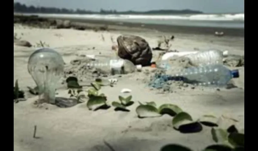 23 de mayo  fecha tope para la entrega. FOTO: ARCHIVO