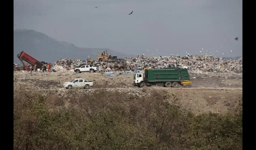 La compañía opera desde el 2006. Foto: Cortesía