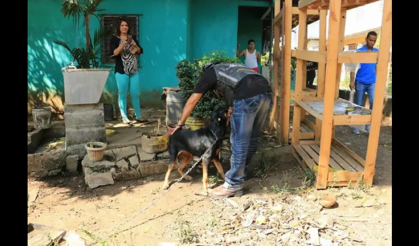 Fundación GR Tinakers Panamá