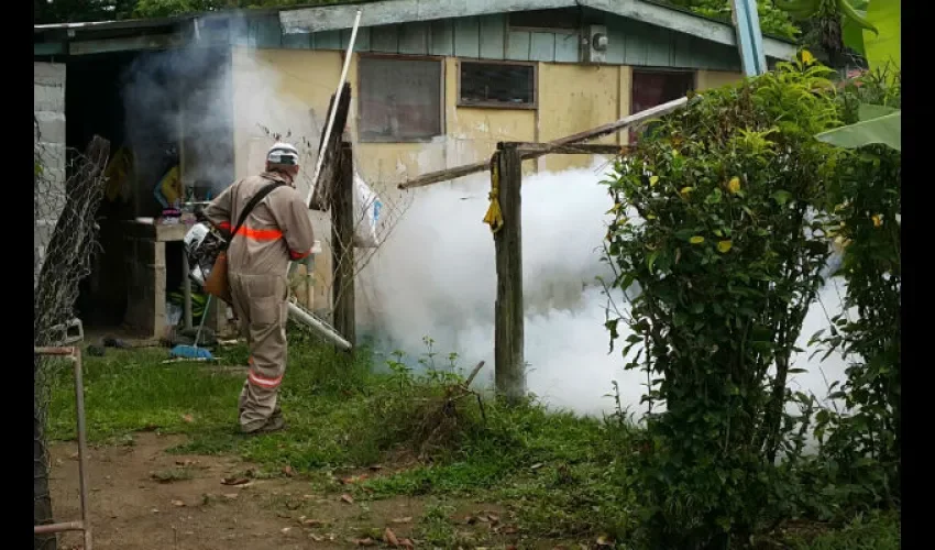 Fumugación y limpieza en Bocas del Toro