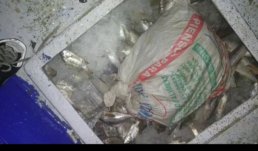 Sustancia incautada por Senan 