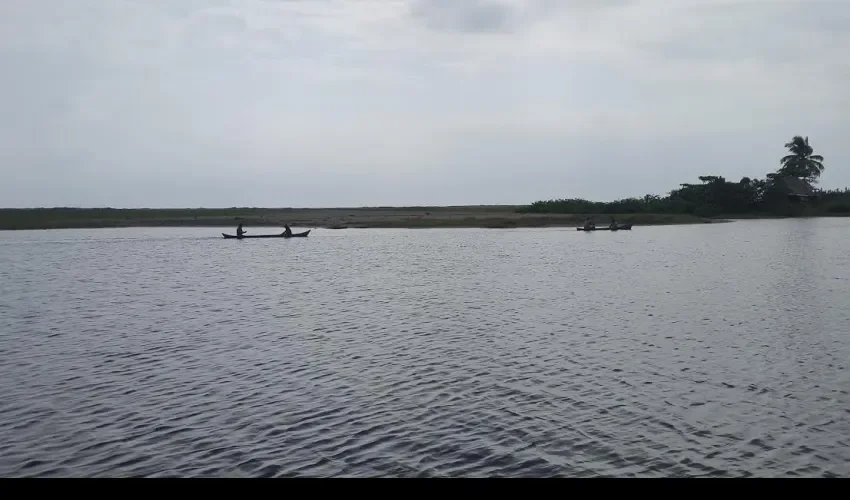 Pez León en  comarca Ngäbe Buglé