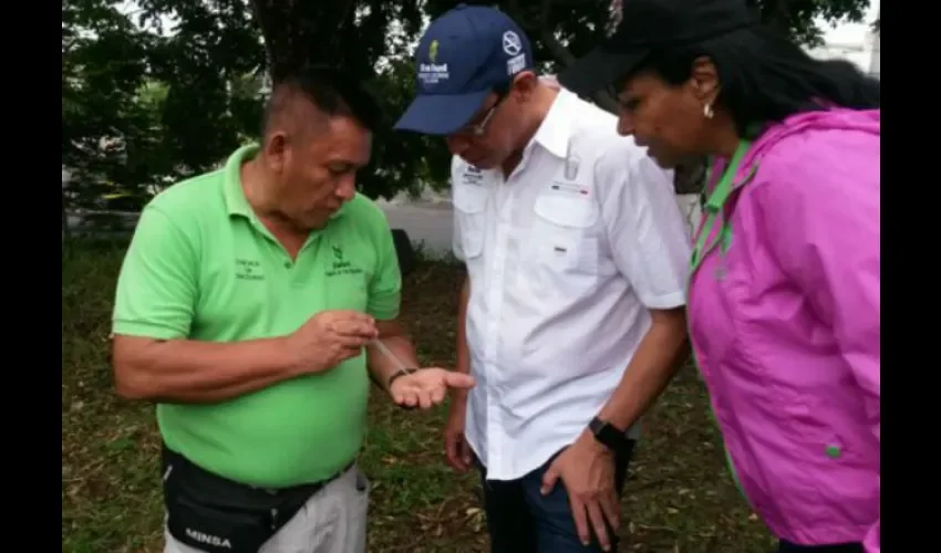 Fumigación en Los Andes 