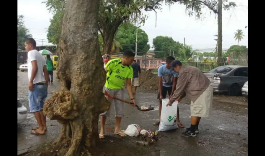 Fumugación y limpieza en  Juan Díaz 