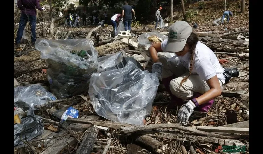 La basura marina es uno de los grandes problemas de contaminación que afectan la salud pública.