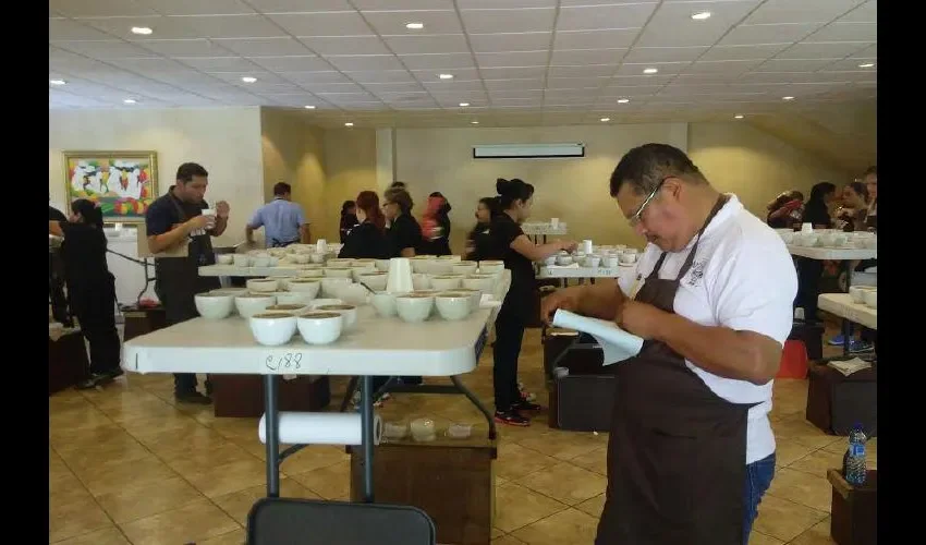 En la cata participan 130 lotes de café especial en cada una de las variedades. José Vásquez 