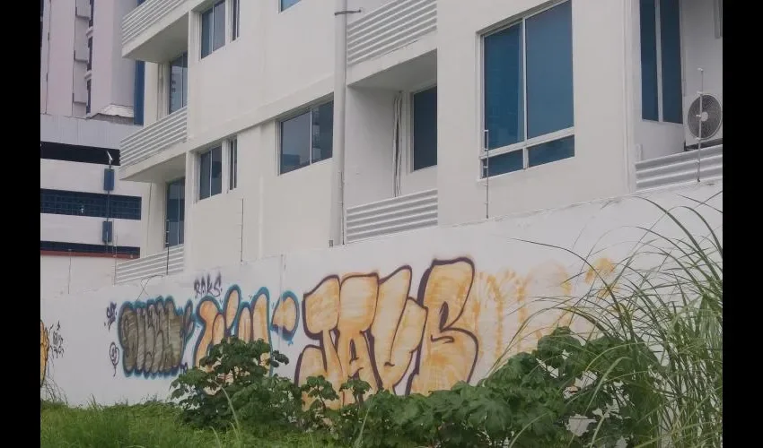 Los grafiteros pintan de noche y lo hacen muy rápido, ya que esta actividad no está permitida por las autoridades. 