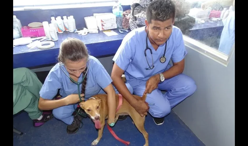 No se incluyeron las revisiones de las fronteras, los aeropuertos ni los laboratorios de diagnóstico. FOTO: CORTESÍA