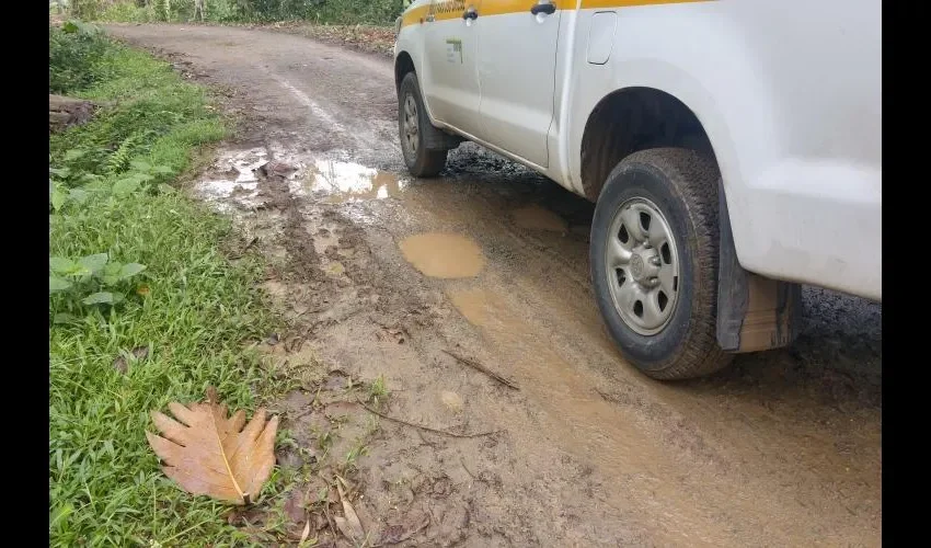 Piden ayuda con los caminos de producción.