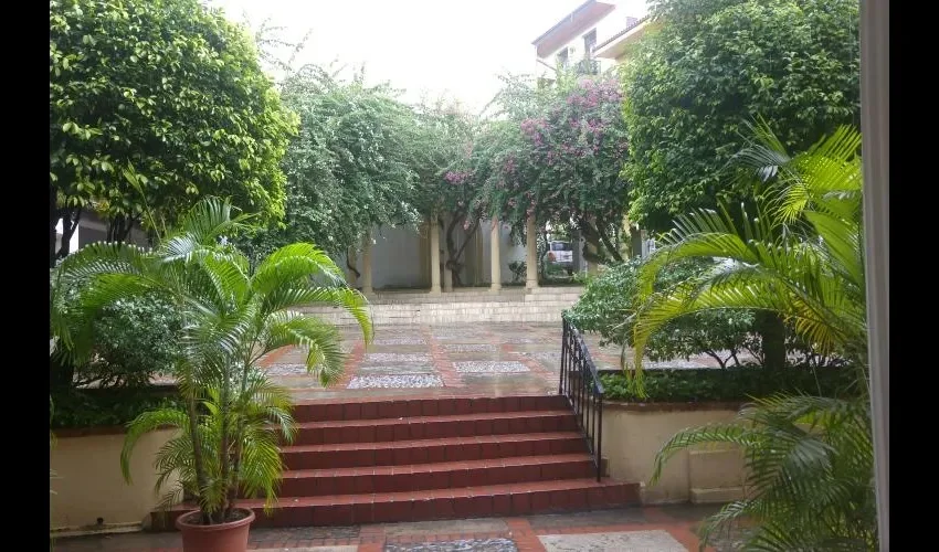 Área verde se mantiene en la casa.