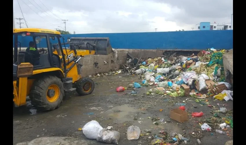 El área de la tinaquera del MAC tiene un hedor a podrido.