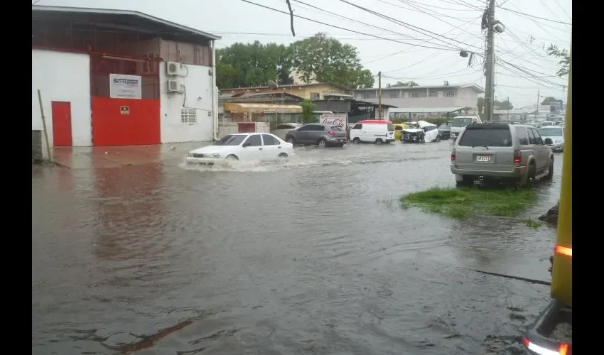 Árboles caídos dejó el temporal en La Chorrera, Arraiján y San Miguelito.