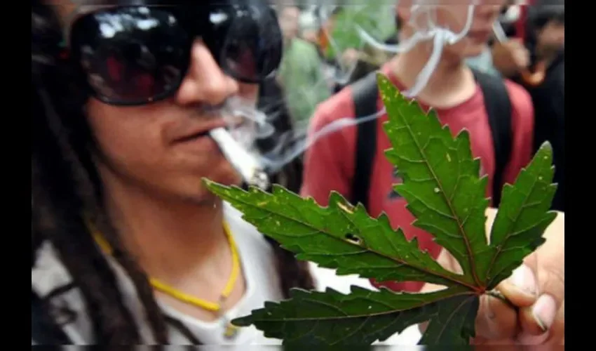 En Panamá, el consumo, la venta y la distribución de la marihuana es ilegal. FOTO: ARCHIVO