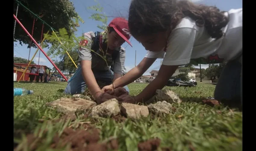 70% del territorio es de uso forestal.   
