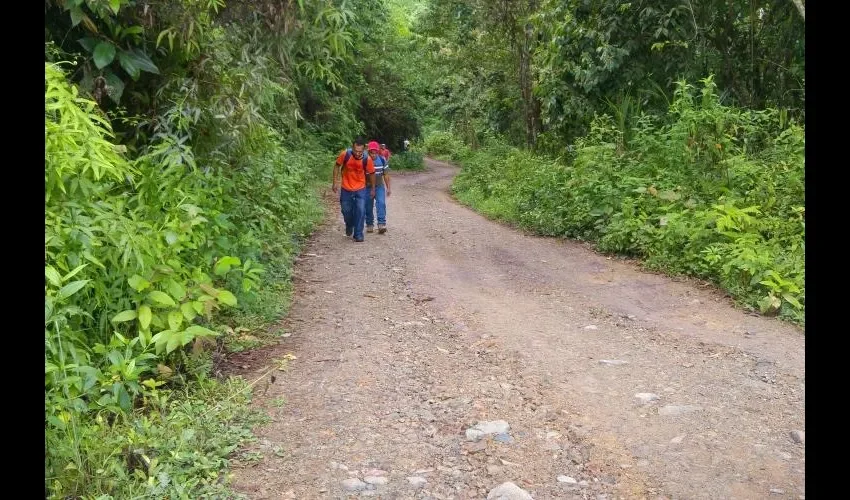 Desde aquí hasta el límite de El Cacao caminan estas personas para poder buscar el sustento.  FOTO: BRENDA DUCREUX