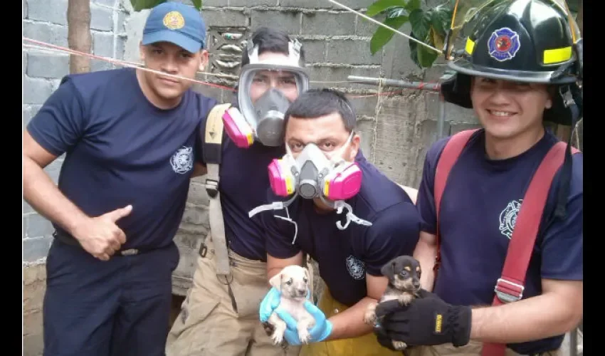 Bomberos de Panamá