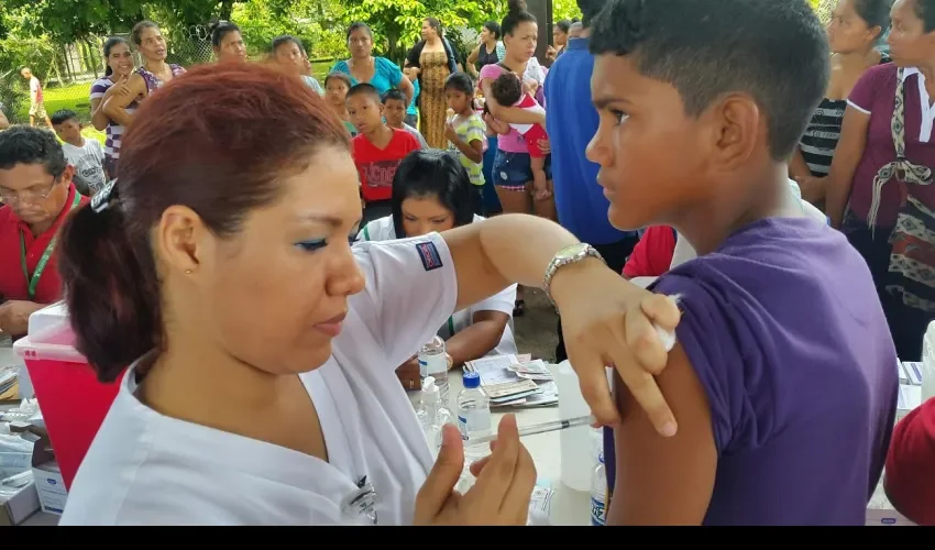 Virus AH1N1 en Panamá