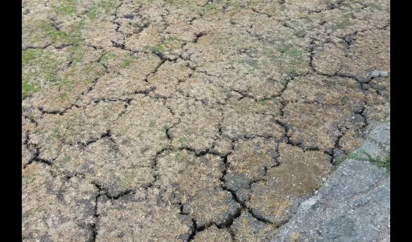 La sequía es uno de los factores que poco favorecen al sector agrícola en el interior del país.