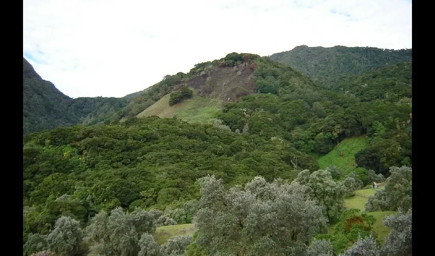 Activistas apuestan por el respeto a las leyes ambientales.