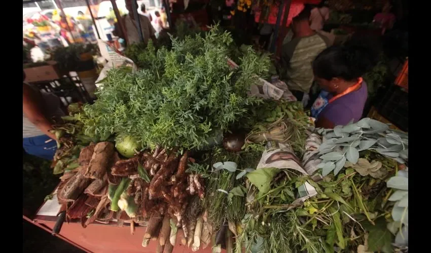 Nunca se debe medicar a niños, sin antes pasar por médico.