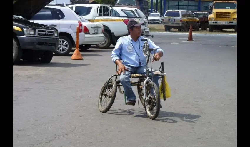 Se adaptan al entorno social de una manera increíble.